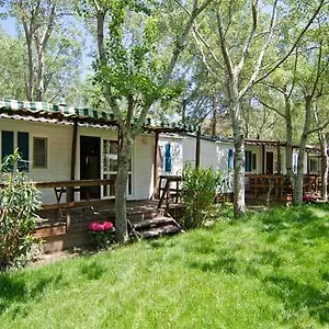 https://thalatta-kalamitsi-village-camp.hotelschalkidiki.net